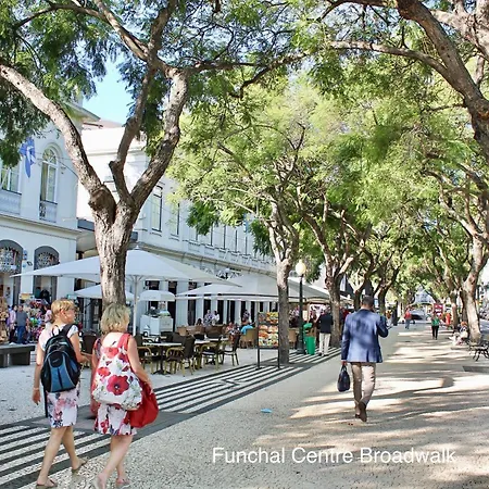 Apartment Ourmadeira - Vintage Garden