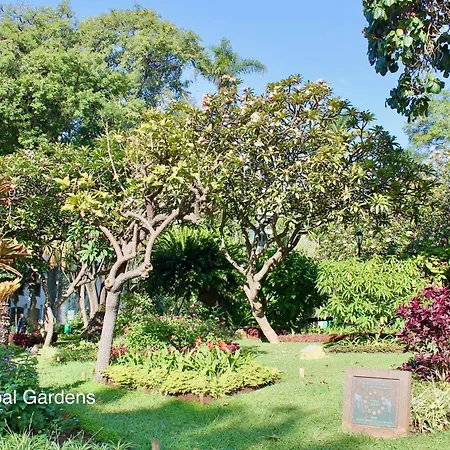 Ourmadeira - Vintage Garden Apartment *