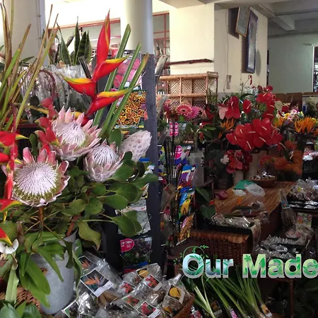 Ourmadeira - Vintage Garden *