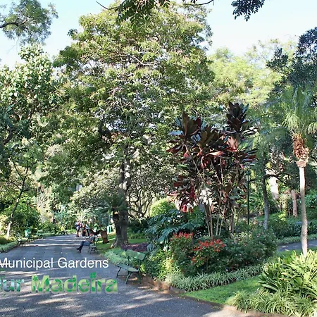 Ourmadeira - Vintage Garden