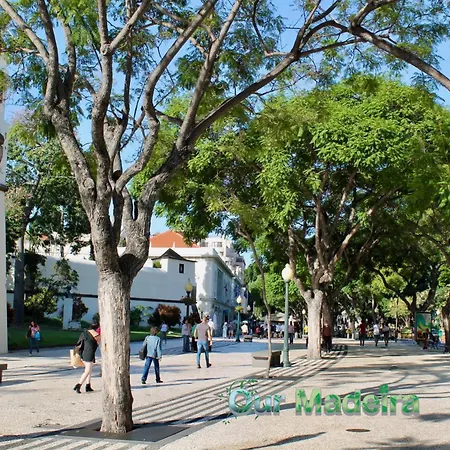 Ourmadeira - Vintage Garden *