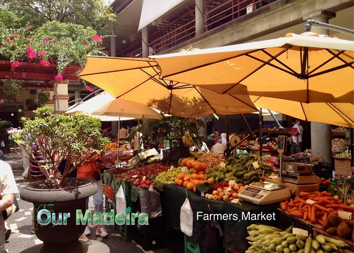 شقة Ourmadeira - Vintage Garden *