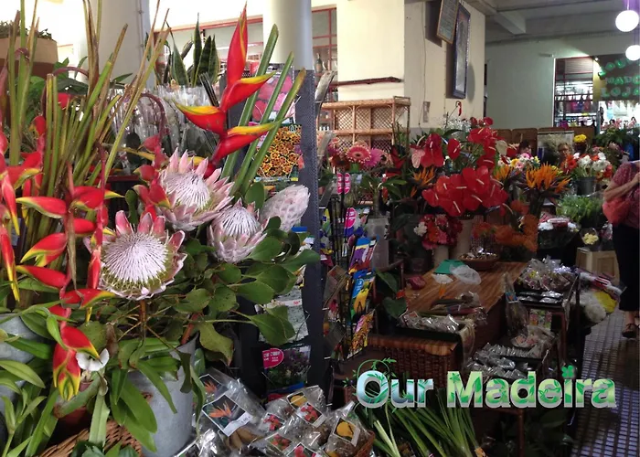 Ourmadeira - Vintage Garden *