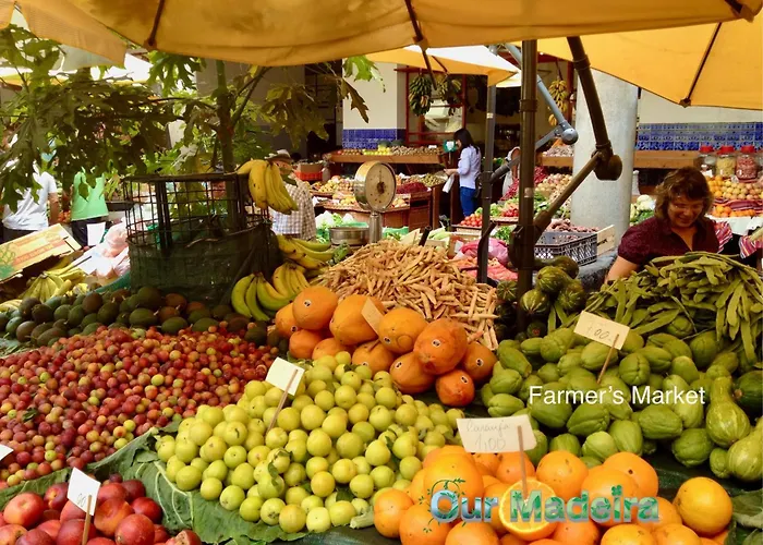 Ourmadeira - Vintage Garden فونشال