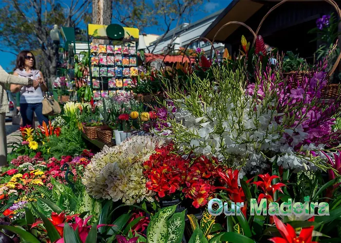 Ourmadeira - Vintage Garden