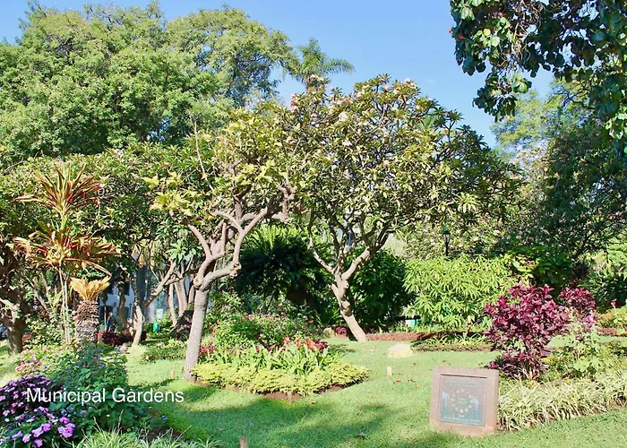 Ourmadeira - Vintage Garden 아파트 *