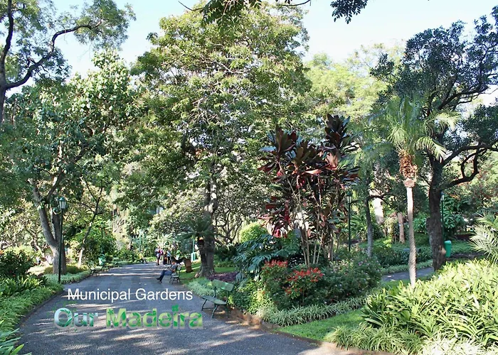 Ourmadeira - Vintage Garden