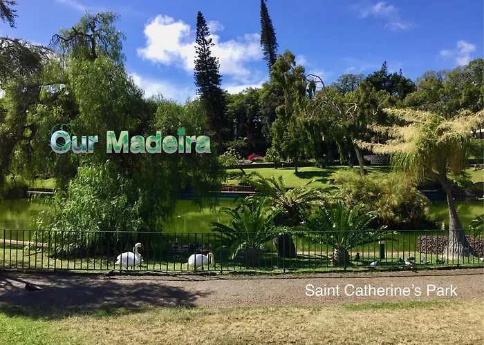 Ourmadeira - Vintage Garden 푼샬