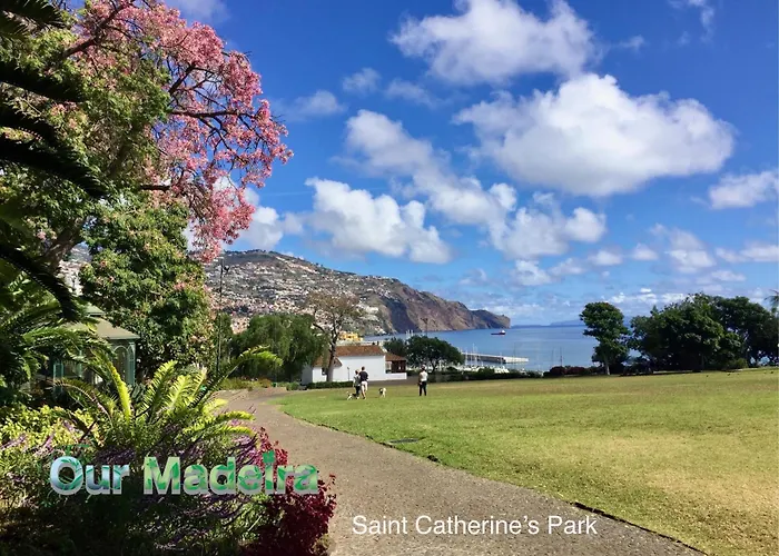 Ourmadeira - Vintage Garden 아파트