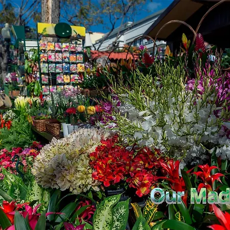 Ourmadeira - Vintage Garden